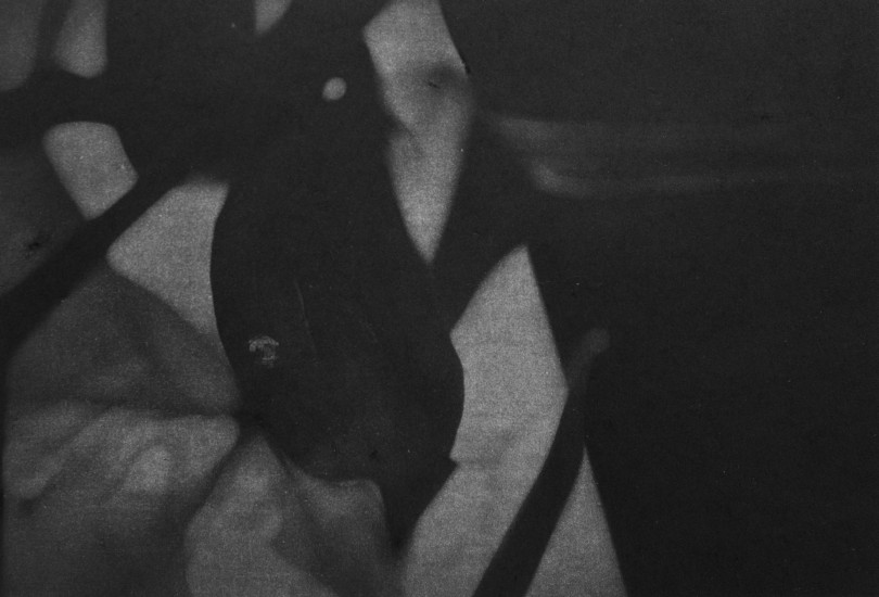 Organic composition VIII | 2017 | 38x58cm | photogravure